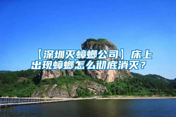 【深圳滅蟑螂公司】床上出現蟑螂怎么徹底消滅？