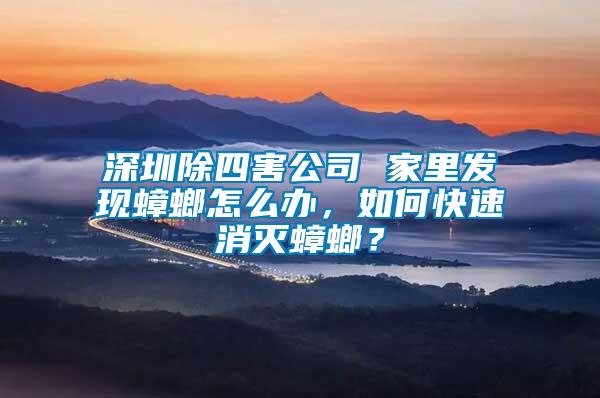 深圳除四害公司 家里發(fā)現(xiàn)蟑螂怎么辦，如何快速消滅蟑螂？