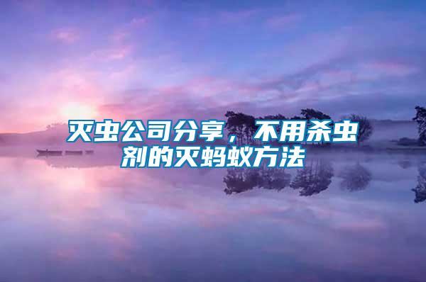 滅蟲公司分享，不用殺蟲劑的滅螞蟻方法
