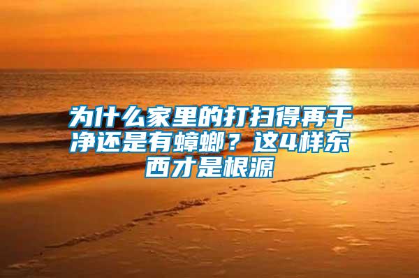 為什么家里的打掃得再干凈還是有蟑螂？這4樣東西才是根源