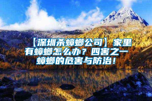 【深圳殺蟑螂公司】家里有蟑螂怎么辦？四害之一蟑螂的危害與防治！