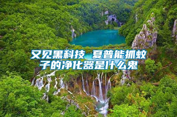 又見(jiàn)黑科技 夏普能抓蚊子的凈化器是什么鬼