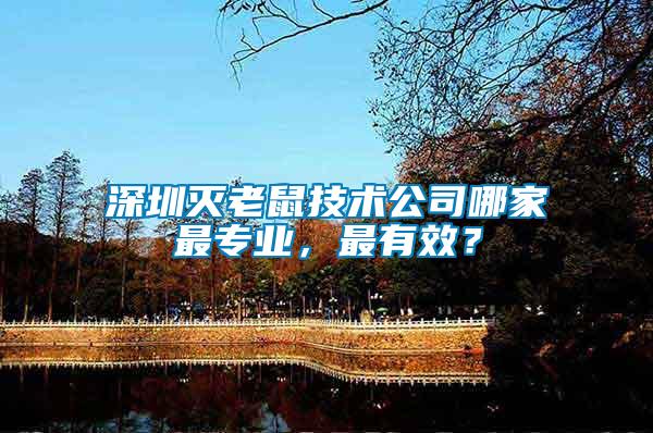 深圳滅老鼠技術公司哪家最專業，最有效？