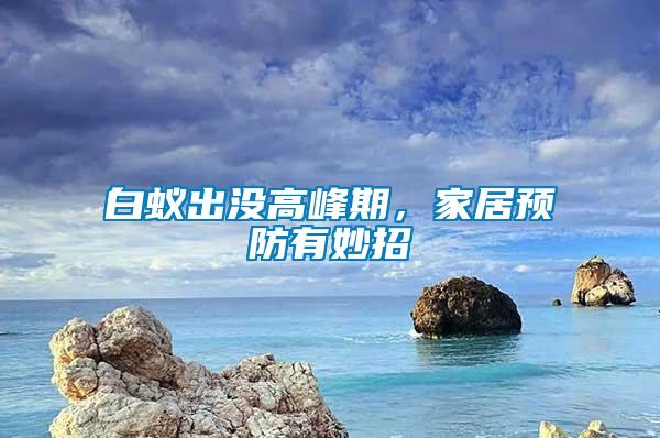 白蟻出沒高峰期，家居預防有妙招