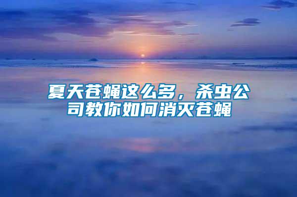 夏天蒼蠅這么多，殺蟲公司教你如何消滅蒼蠅