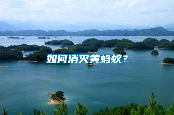 如何消滅黃螞蟻？
