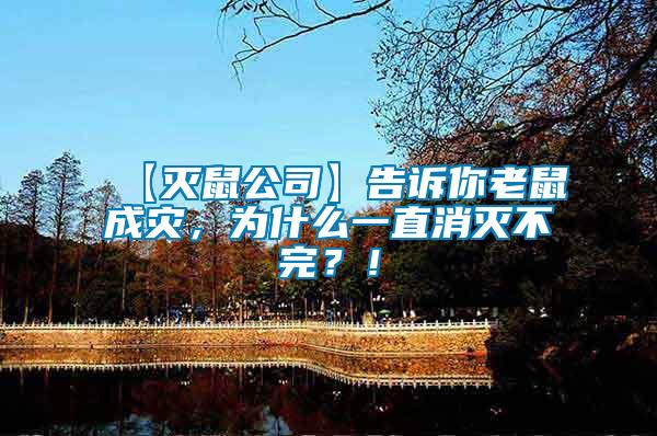 【滅鼠公司】告訴你老鼠成災，為什么一直消滅不完？！