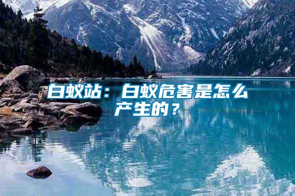 白蟻站：白蟻危害是怎么產生的？