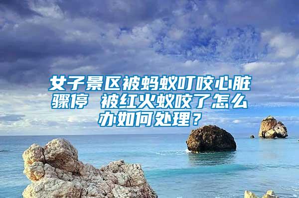 女子景區(qū)被螞蟻叮咬心臟驟停 被紅火蟻咬了怎么辦如何處理？