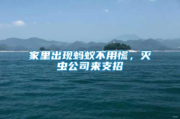 家里出現螞蟻不用慌，滅蟲公司來支招