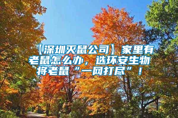 【深圳滅鼠公司】家里有老鼠怎么辦，選環(huán)安生物將老鼠“一網(wǎng)打盡”！