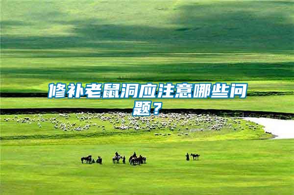 修補老鼠洞應注意哪些問題？