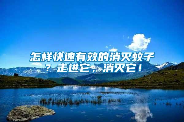 怎樣快速有效的消滅蚊子？走進它，消滅它！