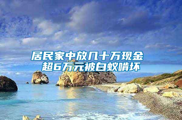 居民家中放幾十萬(wàn)現(xiàn)金 超6萬(wàn)元被白蟻啃壞