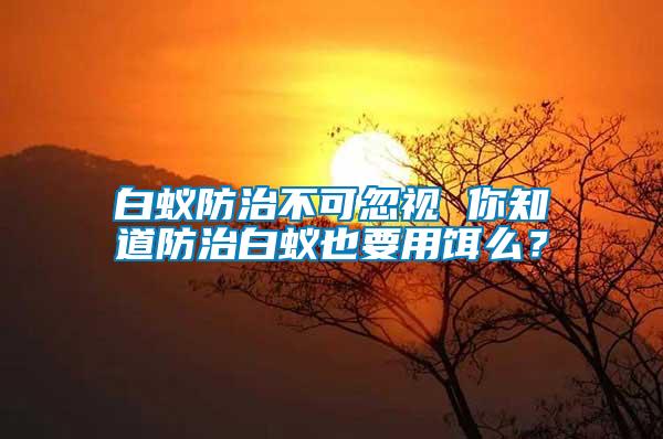 白蟻防治不可忽視 你知道防治白蟻也要用餌么？