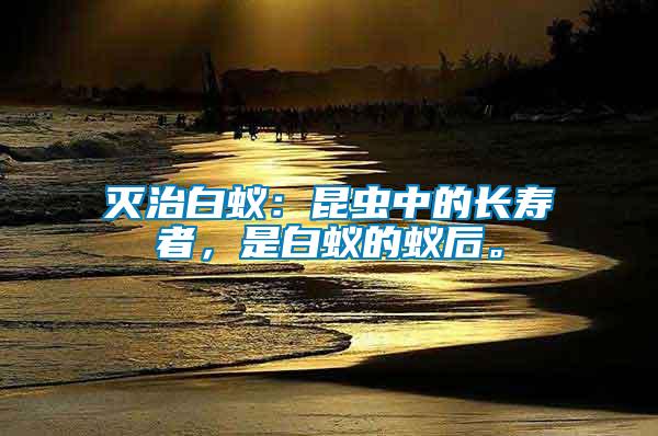 滅治白蟻：昆蟲中的長壽者，是白蟻的蟻后。