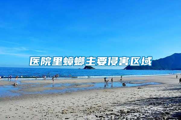 醫院里蟑螂主要侵害區域