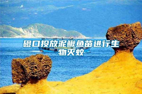 磴口投放泥鰍魚(yú)苗進(jìn)行生物滅蚊