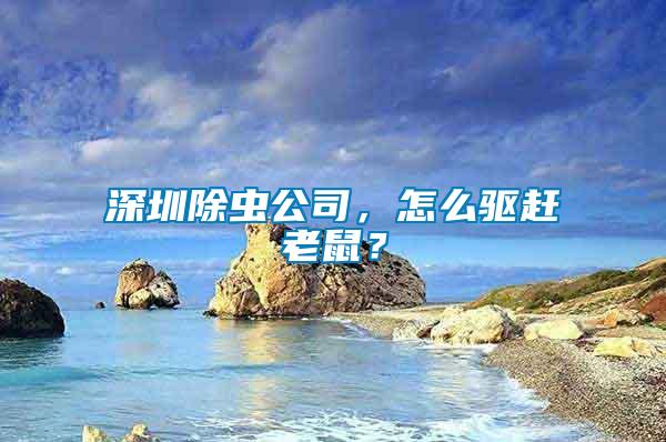 深圳除蟲公司，怎么驅趕老鼠？