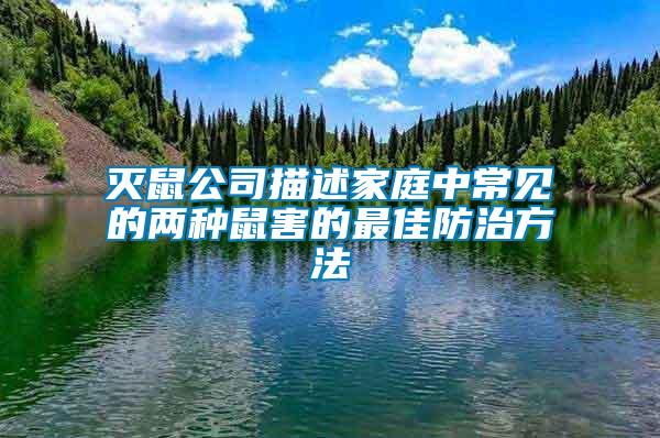 滅鼠公司描述家庭中常見(jiàn)的兩種鼠害的最佳防治方法