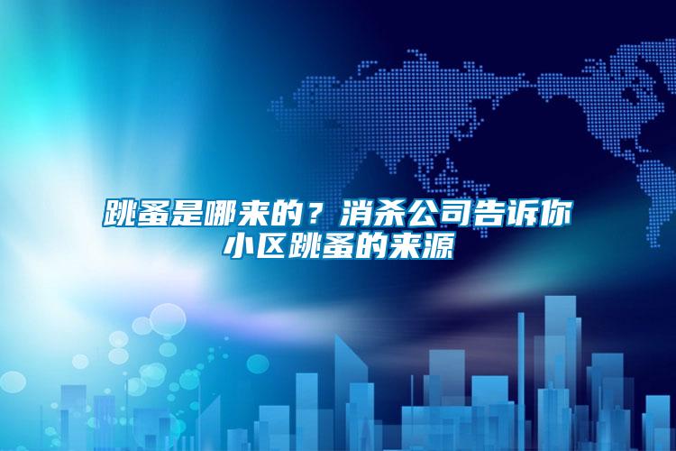 跳蚤是哪來的？消殺公司告訴你小區(qū)跳蚤的來源
