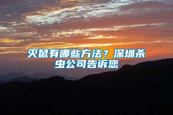 滅鼠有哪些方法？深圳殺蟲公司告訴您