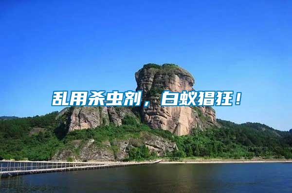 亂用殺蟲劑，白蟻猖狂！