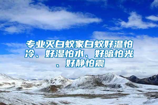專業(yè)滅白蟻家白蟻好溫怕冷、好濕怕水、好暗怕光、好靜怕震
