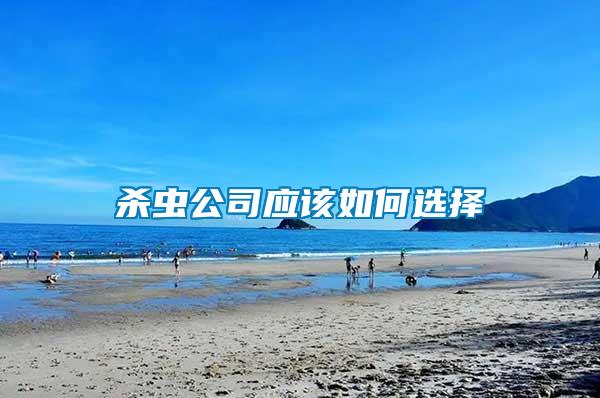 殺蟲公司應該如何選擇