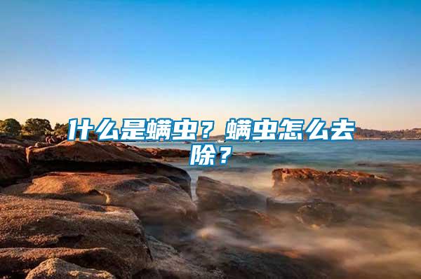 什么是螨蟲？螨蟲怎么去除？