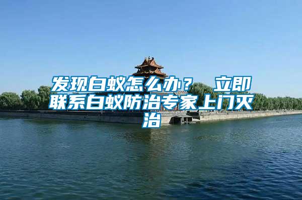 發(fā)現(xiàn)白蟻怎么辦？ 立即聯(lián)系白蟻防治專家上門(mén)滅治