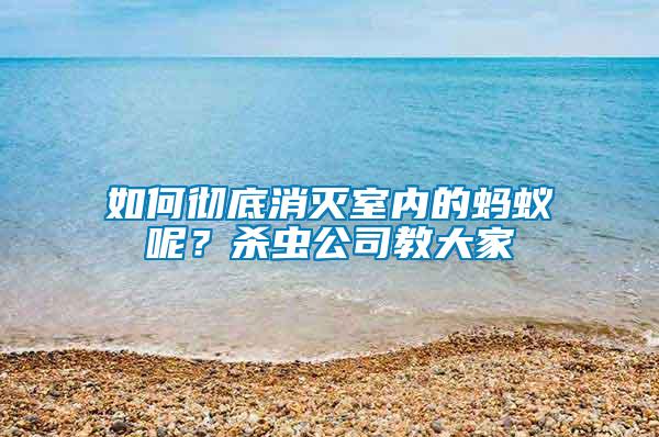 如何徹底消滅室內(nèi)的螞蟻呢？殺蟲(chóng)公司教大家
