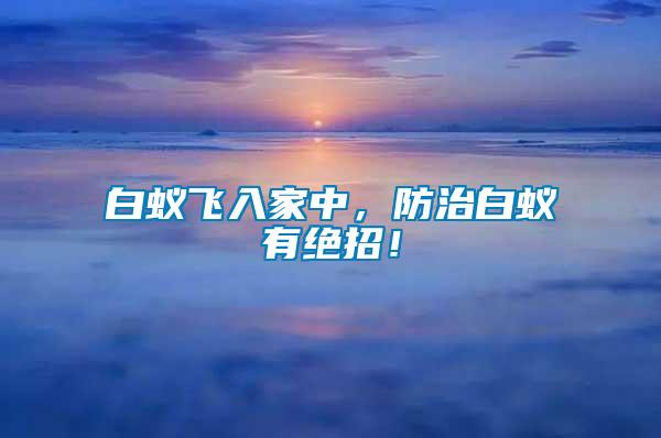 白蟻飛入家中，防治白蟻有絕招！