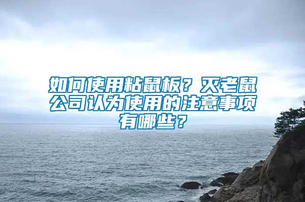 如何使用粘鼠板？滅老鼠公司認為使用的注意事項有哪些？