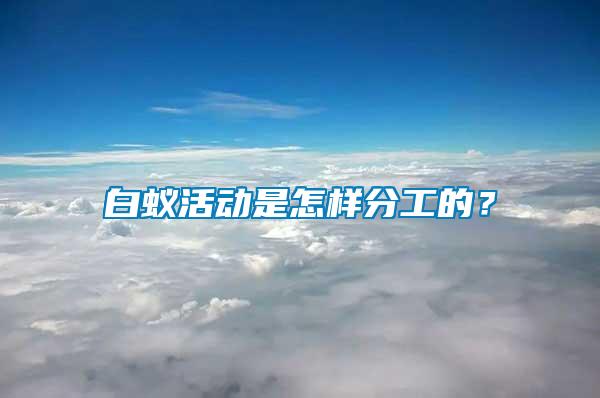 白蟻活動是怎樣分工的？
