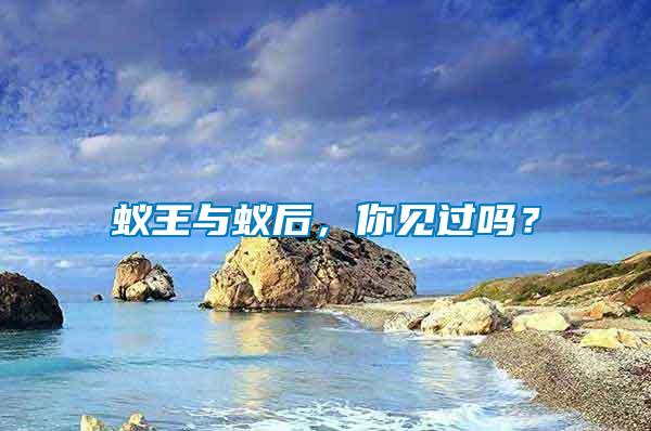 蟻王與蟻后，你見過嗎？