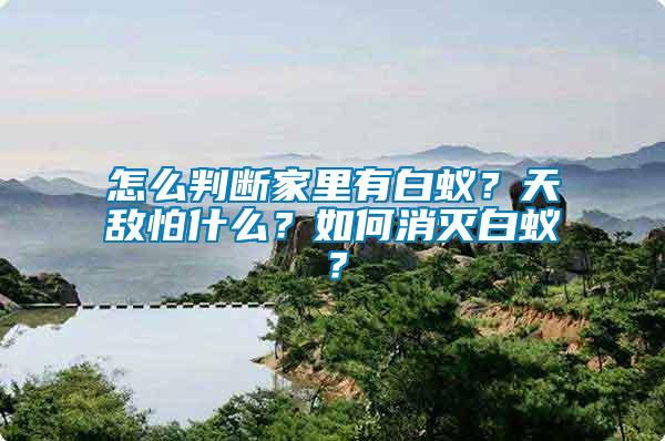 怎么判斷家里有白蟻？天敵怕什么？如何消滅白蟻？