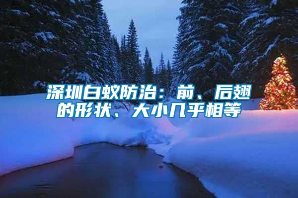 深圳白蟻防治：前、后翅的形狀、大小幾乎相等