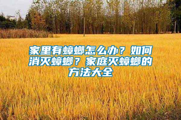 家里有蟑螂怎么辦？如何消滅蟑螂？家庭滅蟑螂的方法大全