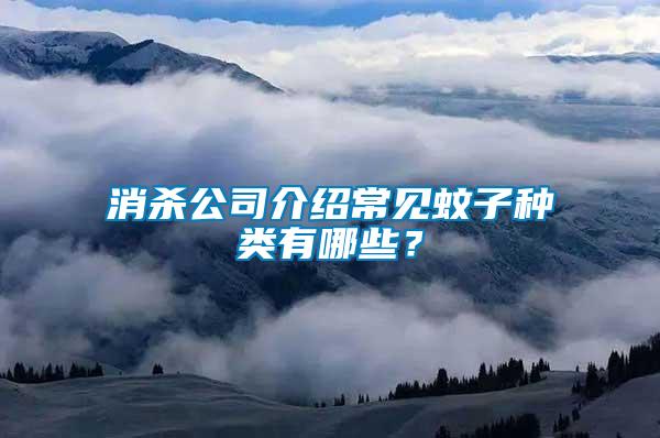消殺公司介紹常見蚊子種類有哪些？