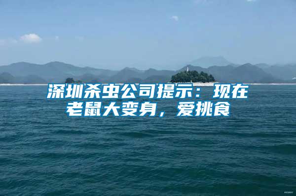 深圳殺蟲公司提示：現在老鼠大變身，愛挑食