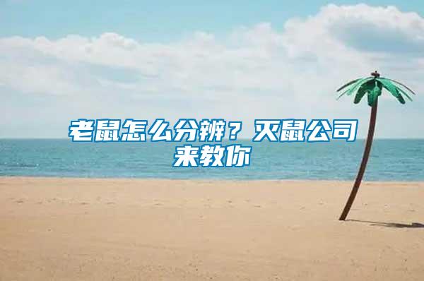 老鼠怎么分辨？滅鼠公司來(lái)教你