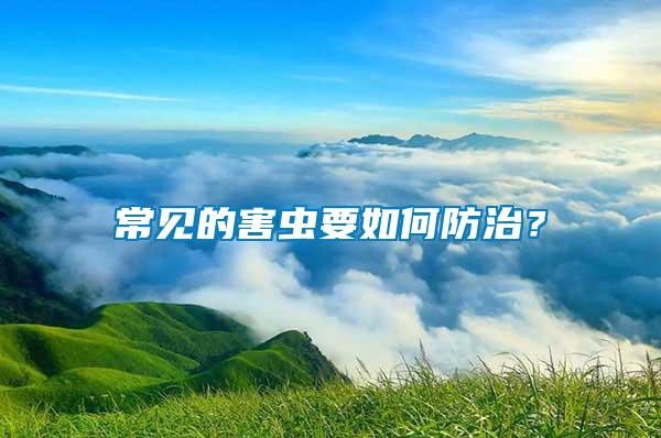 常見(jiàn)的害蟲(chóng)要如何防治？