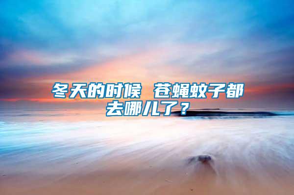 冬天的時候 蒼蠅蚊子都去哪兒了？