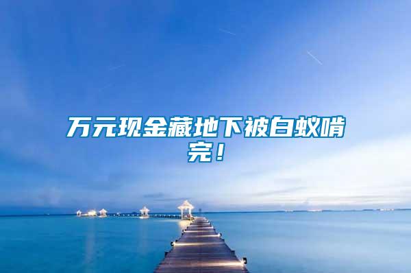 萬元現金藏地下被白蟻啃完！