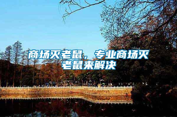 商場滅老鼠，專業(yè)商場滅老鼠來解決