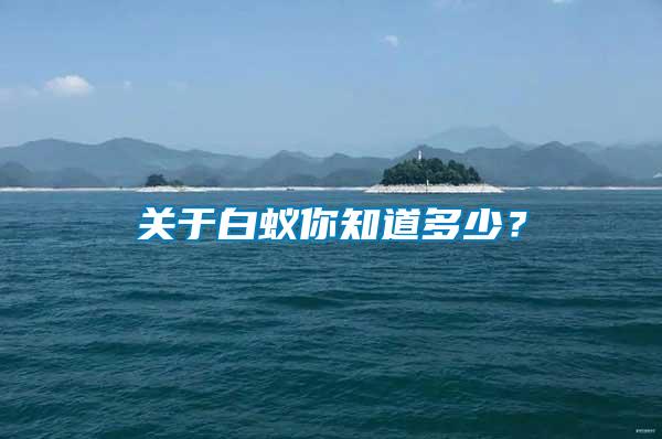 關于白蟻你知道多少？