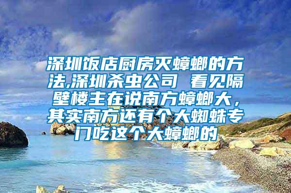 深圳飯店廚房滅蟑螂的方法,深圳殺蟲(chóng)公司 看見(jiàn)隔壁樓主在說(shuō)南方蟑螂大，其實(shí)南方還有個(gè)大蜘蛛專門吃這個(gè)大蟑螂的