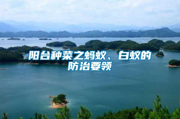 陽臺種菜之螞蟻、白蟻的防治要領(lǐng)