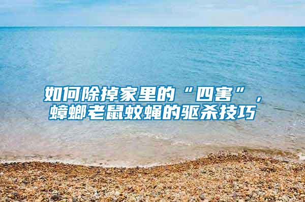 如何除掉家里的“四害”，蟑螂老鼠蚊蠅的驅殺技巧